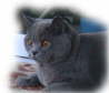 FINN_4