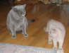 FundP_1