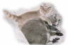 FundP_7
