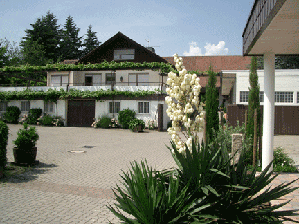 weingut-001 weingut-001